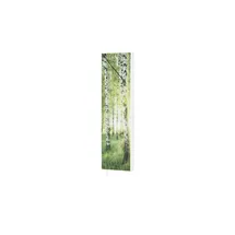 Möbel Kraft Mehrzweckschrank 48 x 20,0 x 191 cm Grün