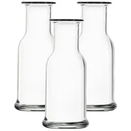 Stölzle Oberglas Glaskaraffe Purity / 3er Set Kleine Karaffe 250 ml/Hochwertige Karaffe Glas geeignet als Wasserkaraffe, Karaffe für Limonade, Weinkaraffe/stoßfest und spülmaschinenfest