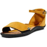 Leguano Jara gelb 37