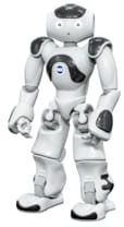 NAO Roboter Version 6 - Business Edition - 2 Jahre Garantie