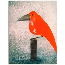 Artland Wandbild »Der Rote Vogel«, Vögel, (1 St.), als Leinwandbild, Poster in verschied. Größen Artland Farbe Bild(er): rot