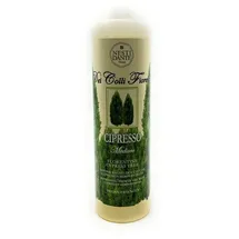 Nesti Dante Colli Fiorentini Cypress Tree Shower Gel 300 ml