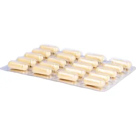 Fontapharm AG Aminocarin Kapseln 120 St.