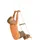 Eichhorn Outdoor Strickleiter 04504