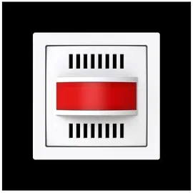 Busch-Jaeger Zentralscheibe 1573 CN-44G