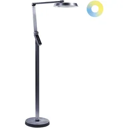 LED Stehlampe CARINA mit Dimmer Metall Dunkelgrau