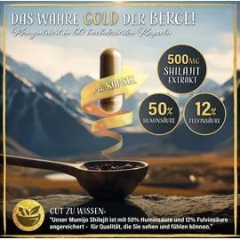 Saint Nutrition Mumijo Shilajit Kapseln 1 St.