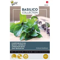 Basilikum 'Zimt' Saatgut ca. 1,5 g Würzig-süßes Aroma
