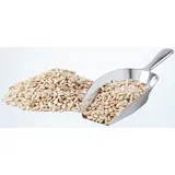 elles Sonnenblumenkerne weiß 25kg 1x25kg