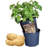 Esschert Design Kartoffelpflanztopf Ø 30,2 cm