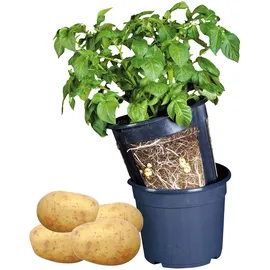 Esschert Design Kartoffelpflanztopf Ø 30,2 cm