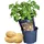 Esschert Design Kartoffelpflanztopf Ø 30,2 cm