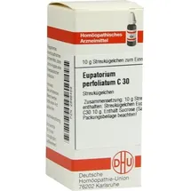 DHU-Arzneimittel EUPATORIUM Perfoliatum C 30 Globuli
