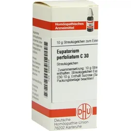 DHU-Arzneimittel EUPATORIUM Perfoliatum C 30 Globuli