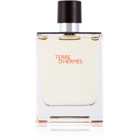 terre d hermes eau de toilette