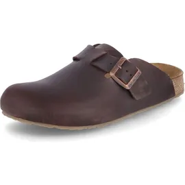 HAFLINGER Porto Dunkelbraun 43