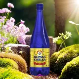 Bilinska Kyselka  6 х1L + 1,5L Aqua Maria natürliches Mineralwasser Wasser Water