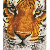 Diamond Dotz Diamond Painting Tiger