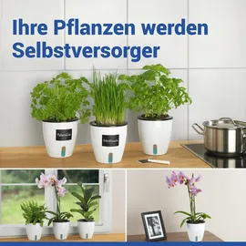Maximex Selbstbewässernde Pflanztöpfe Ø 13 x 13,5 cm Weiß