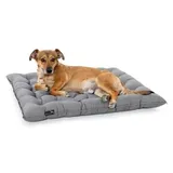 Doctor Bark Pointer Urban Kissen hellgrau XXL