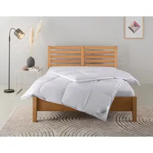 Home Affaire Daunenbettdecke HOME AFFAIRE "Moulle, Bettdecke 135x200 cm und 155x220 cm", weiß, B:135cm L:200cm, Bezug: 100% Baumwolle. Füllung: 90% Daunen, 10% Federn, Bettdecken, Bettdecken, Sommer oder Winter, Decke, Made in Germany, atmungsaktiv