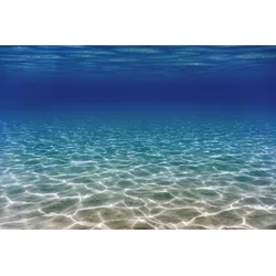 Fototapete PAPERMOON "UNTERWASSER-WELT-OZEANE SEE MEER WASSER SAND DÜNEN", bunt, B:3,50m L:2,60m, Vlies, Tapeten