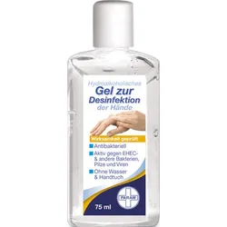 DESINFEKTIONSGEL für die Hand antibakteriell 75 ml Gel