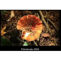 Vero Kalender Pilzkalender 2025 Fotokalender DIN A3 von Tobias