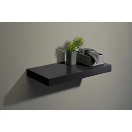 DOLLE Wandregal 115 x 25 x 5 cm Schwarz