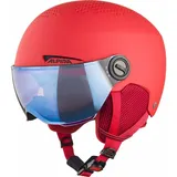 Alpina Zupo Visor Q-lite
