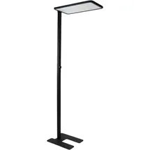 enovalite ELED 700113 schwarz