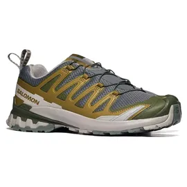Salomon XA Pro 3D V9 Herren Sedona Sage/Plantation/Paloma 45 1/3