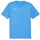 Puma teamFINAL Trainingsshirt Herren 02 ignite blue/silver S