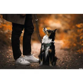 Hunter Divo Hundegeschirr Grün/Grau L-XL