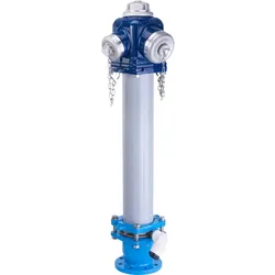 Überflurhydrant KR250 Euro2000 -  1xB / 2xC / 80 / NGG