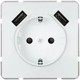 Siemens DELTA style USB-SCHUKO 5UB18701TW01