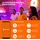 LEDVANCE SMART+ WiFi Mini Bulb Tunable White 40 E 14 5 W,