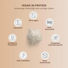 Nutri + Vegan 3K Protein Erdnussbutter-Cookie Pulver 1000 g