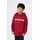 Champion Hoodie Red 176