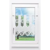 Plauener Spitze® Scheibengardine Circles (1 St), transparent, HxB 60x48cm weiß 48 cm x 60 cm
