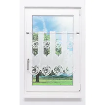 Plauener Spitze® Scheibengardine Circles (1 St), transparent, HxB 60x48cm weiß 48 cm x 60 cm