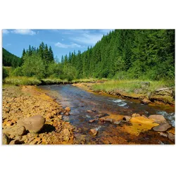 Artland Wandbild »Fluss Neagra, Caliman-Nationalpark«, Gewässer, (1 St.), als Alubild, Outdoorbild, Poster in verschied. Größen Artland Farbe Bild(er): bunt
