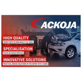 ACKOJA Einparkhilfe A38-74-0014