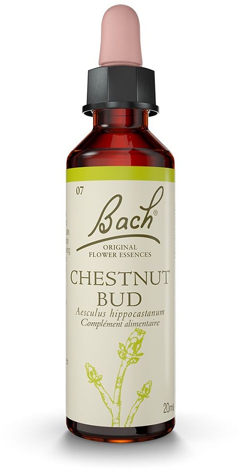 Fleurs de Bach® Original Chestnut Bud N° 7 20 ml goutte(s)