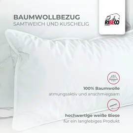 RIBECO Johanna Kopfkissen-Spar-Set 80 x 80 cm Weiß