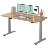 FLEXISPOT Schreibtisch Basic-Series (mit einteiligen Tischplatten), Elektrisch höhenverstellbarer Schreibtisch, 2- Fach-Teleskop grau 140 cm x 80 cm