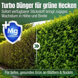 düngemeister Heckendünger für grüne Hecken 5 kg