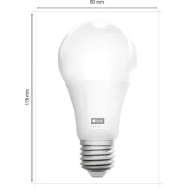 Govee Envisual T2 with Dual Cameras 55 65