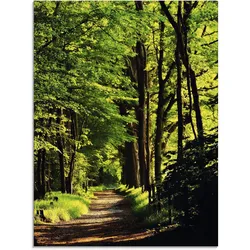 Artland Glasbild »Weg im Wald«, Wald, (1 St.), in verschiedenen Größen Artland Farbe Bild(er): grün