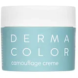 Kryolan GmbH Dermacolor Camouflage Creme D58